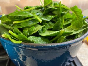 vegetarian spinach soup recipe